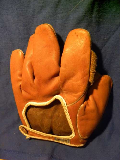 Goldsmith 20 Full Web Back
